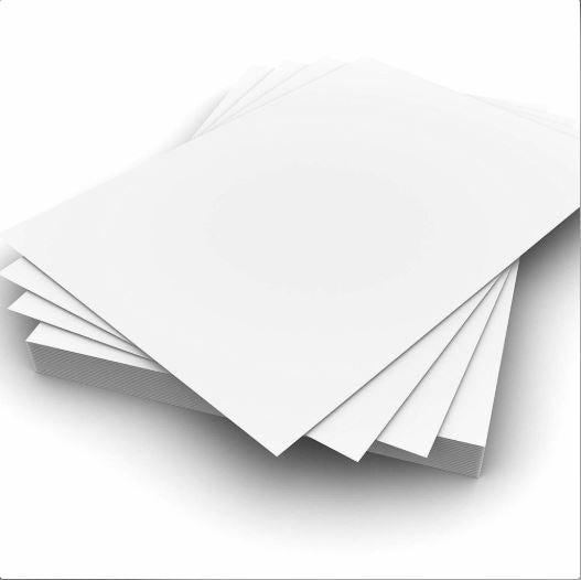 Ledger Paper 11x17